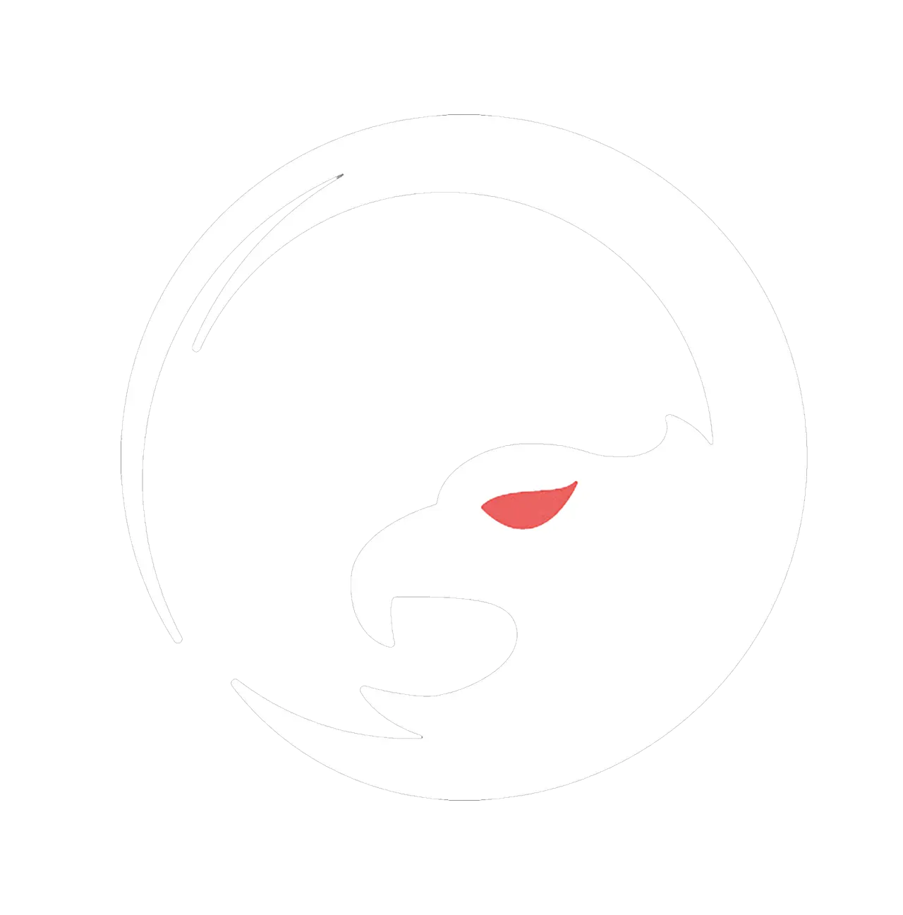 Attachment Image