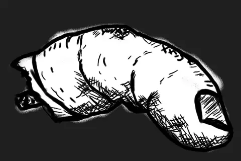 Attachment Image