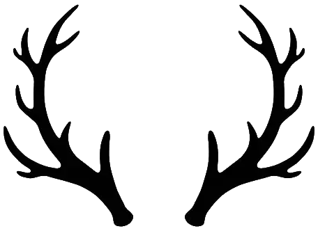 Attachment Image