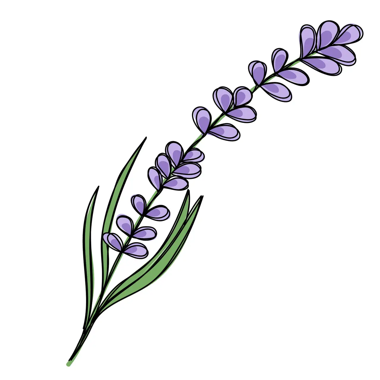 Attachment Image