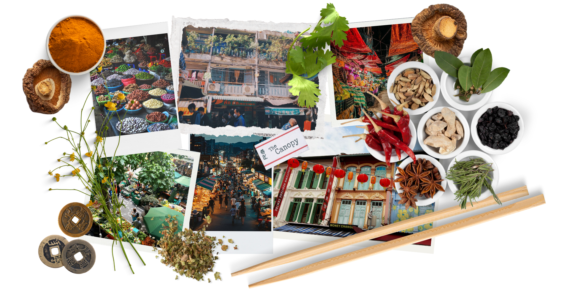 Attachment embedded image