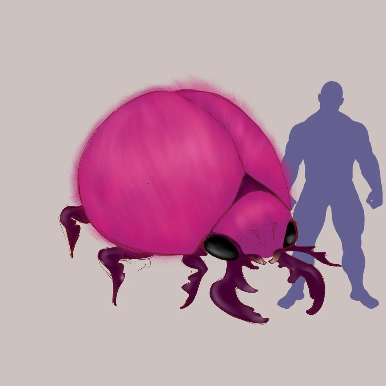 Attachment Image