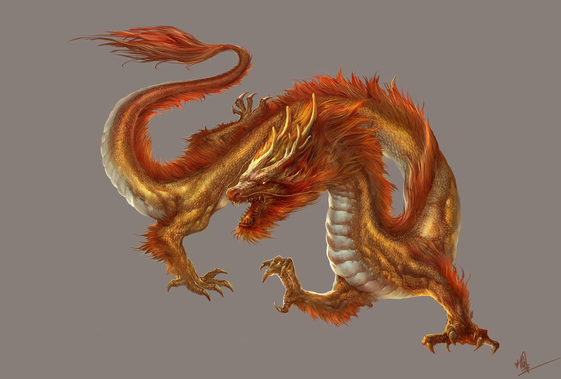 Attachment embedded image