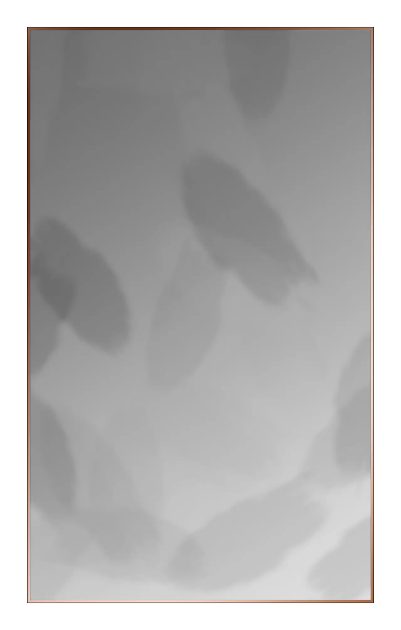 Attachment Image
