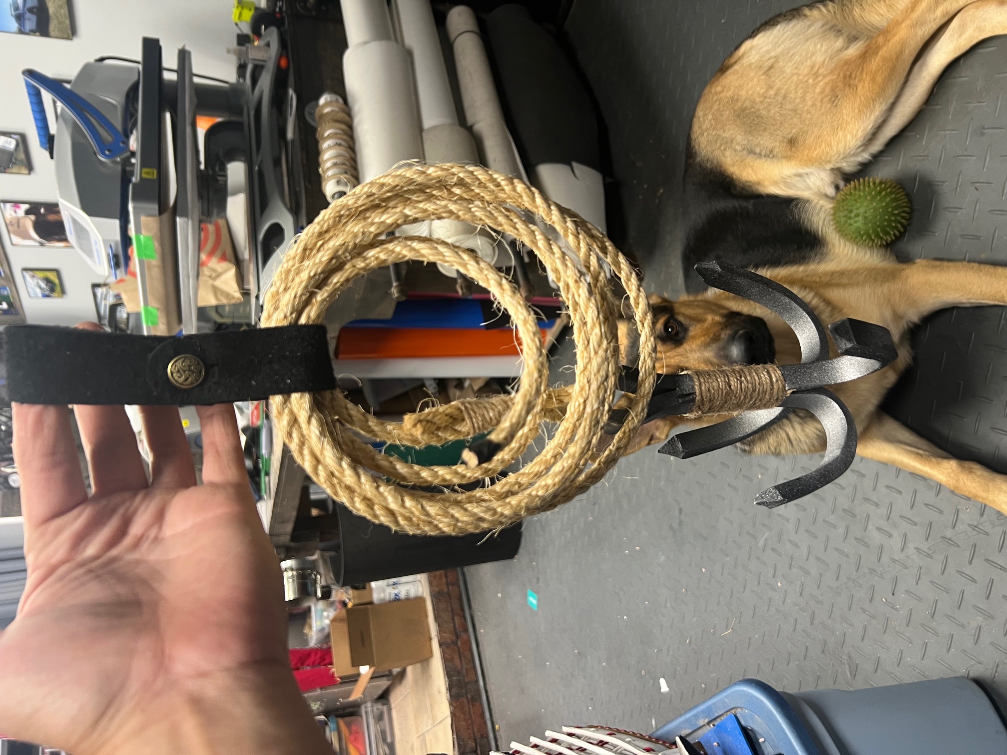 Attachment embedded image