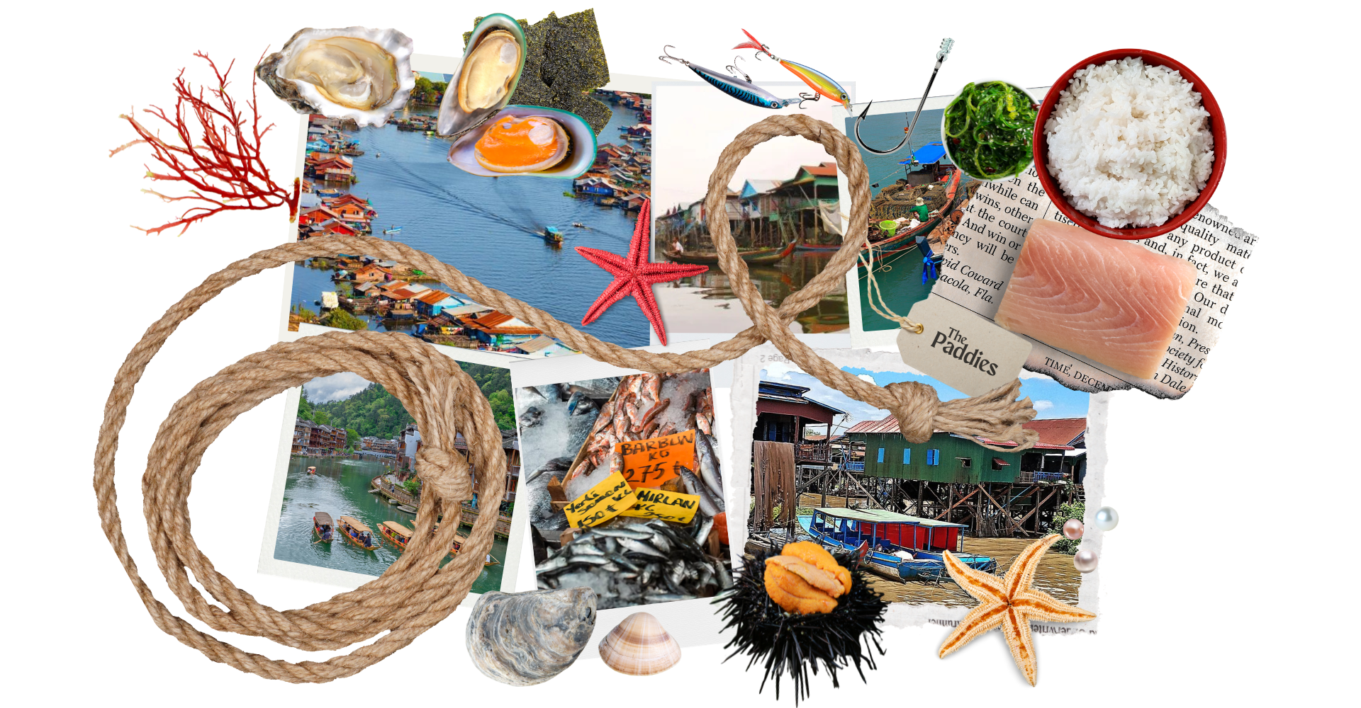 Attachment embedded image